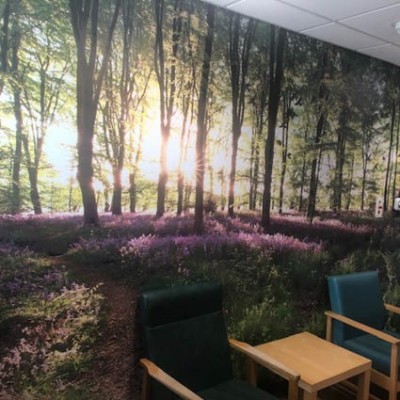 Wall mural in hospital waiting area